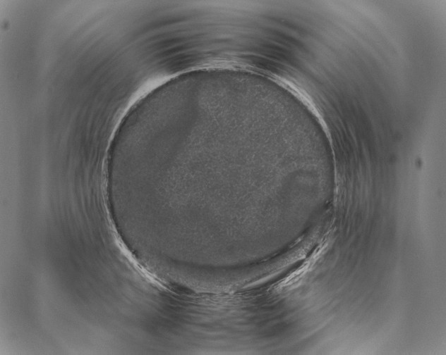 X0000087061045200705091155