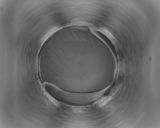 X0000087061046200705091155