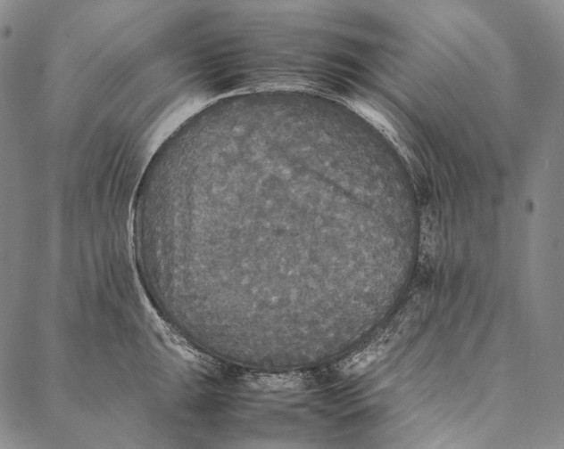 X0000087061047200705091155