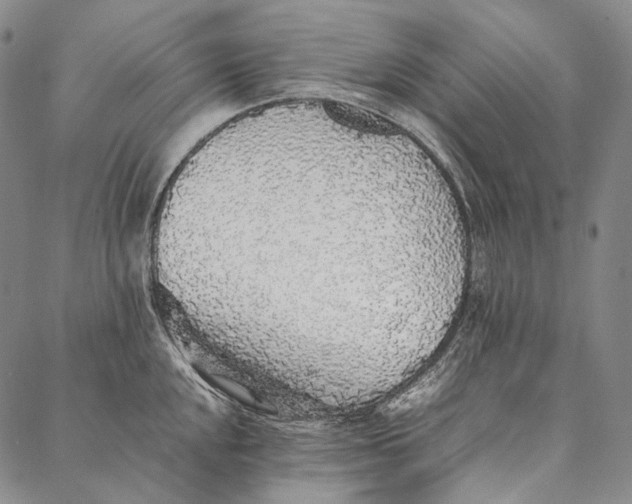 X0000087061048200705091156