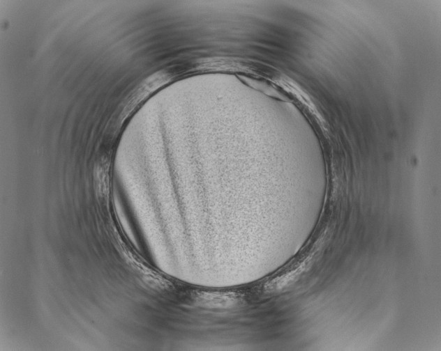 X0000087061049200705091156