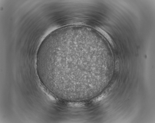 X0000087061051200705091156