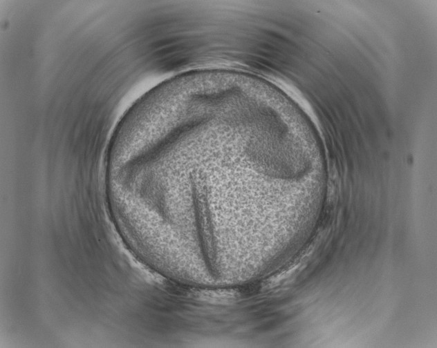 X0000087061053200705091156