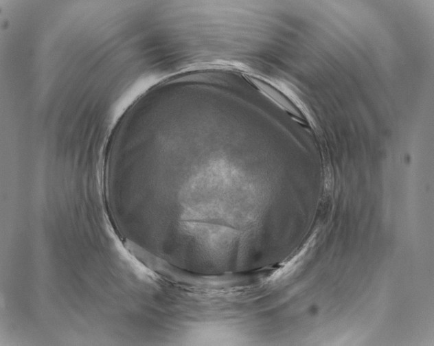 X0000087061054200705091156