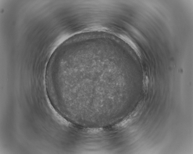 X0000087061055200705091156