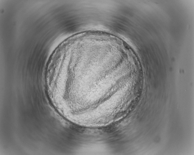 X0000087061056200705091156