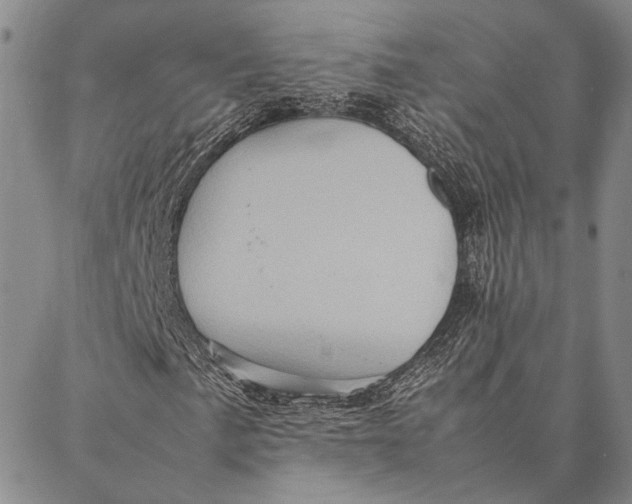 X0000087061057200705091155