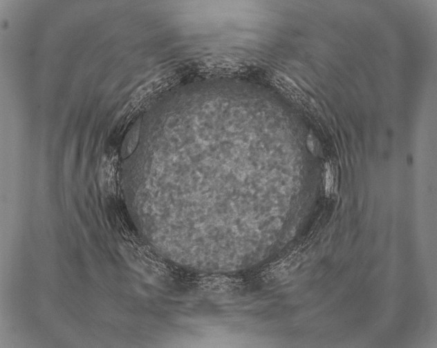 X0000087061059200705091155