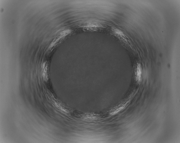 X0000087061060200705091155