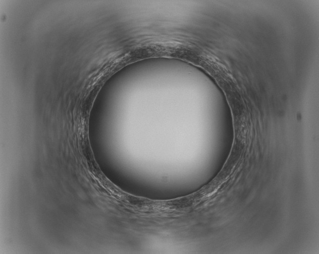 X0000087061061200705091155