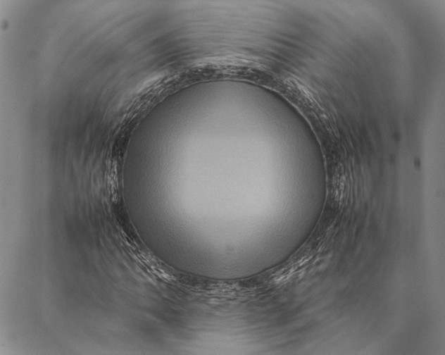 X0000087061062200705091155