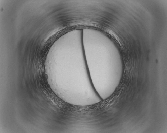 X0000087061064200705091155