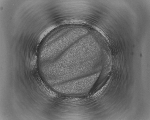 X0000087061066200705091155