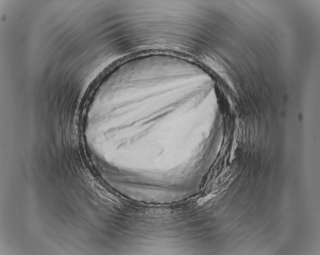 X0000087061068200705091155