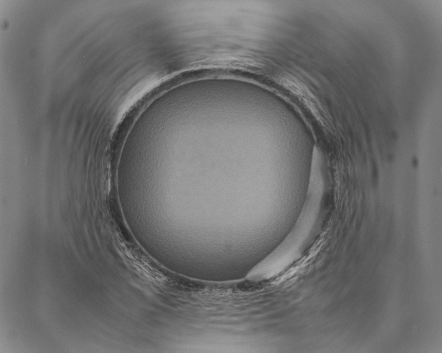 X0000087061069200705091155