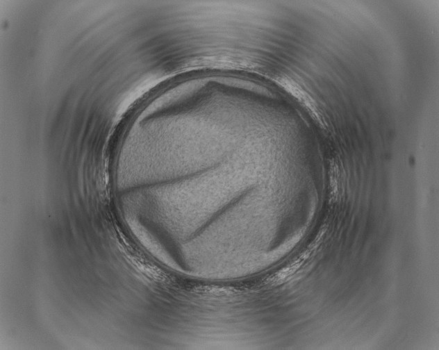 X0000087061070200705091155