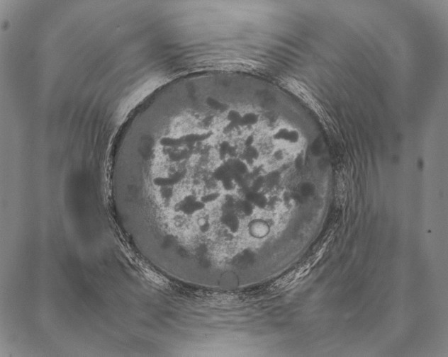 X0000087061071200705091155