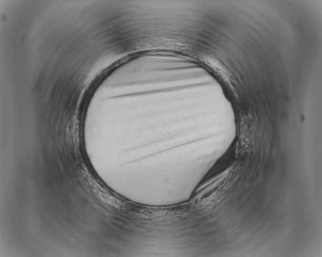 X0000087061072200705091155