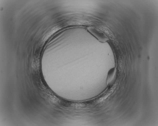 X0000087061073200705091155