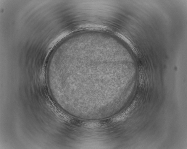 X0000087061074200705091155