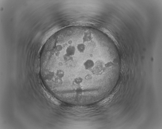 X0000087061075200705091155