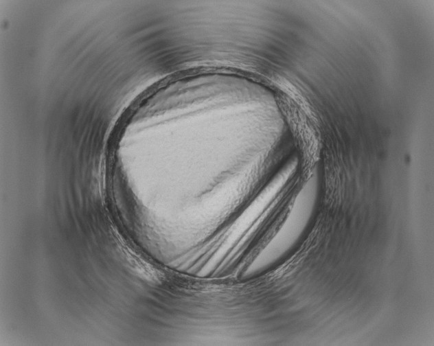 X0000087061076200705091155