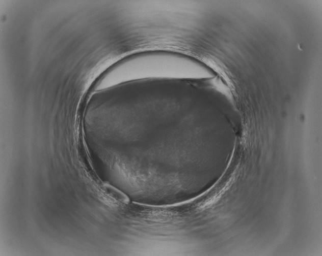 X0000087061077200705091155