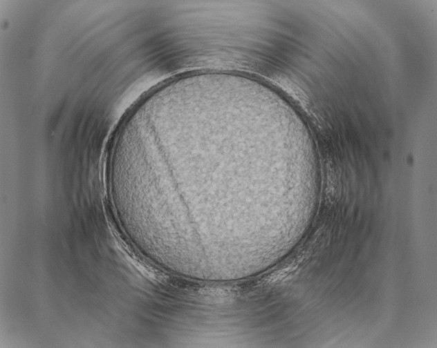 X0000087061078200705091155