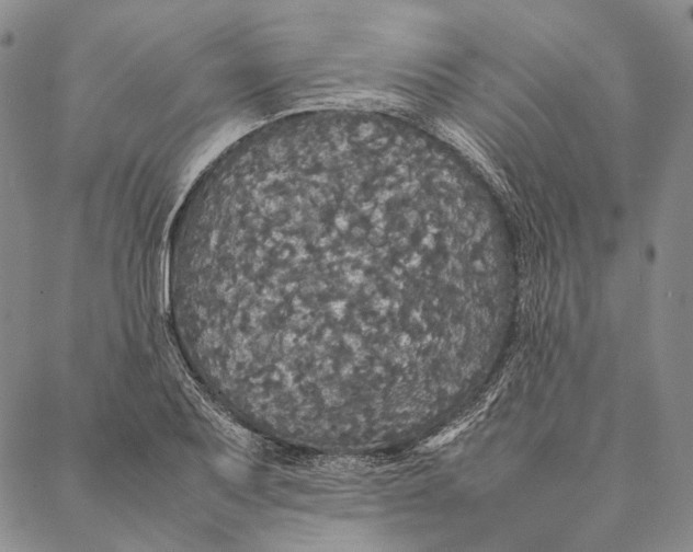 X0000087061079200705091155