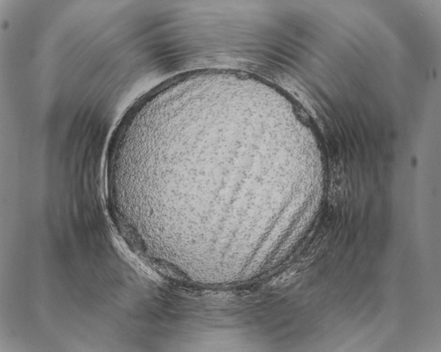 X0000087061080200705091154