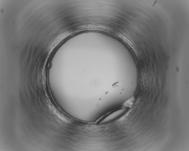 X0000087061082200705091154