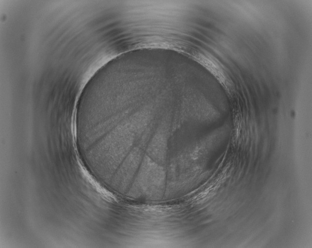 X0000087061084200705091154