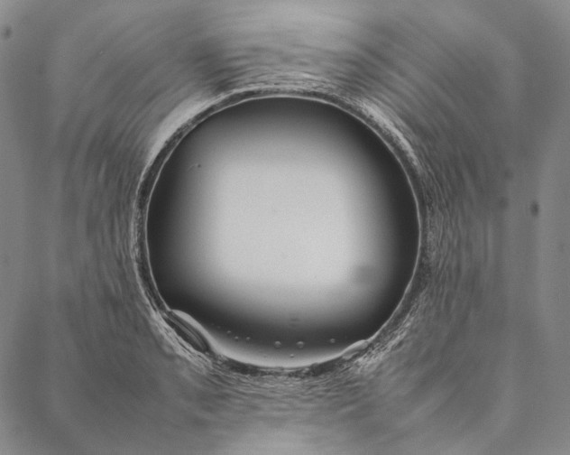 X0000087061085200705091154