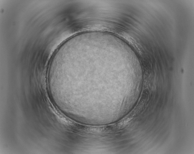 X0000087061086200705091154