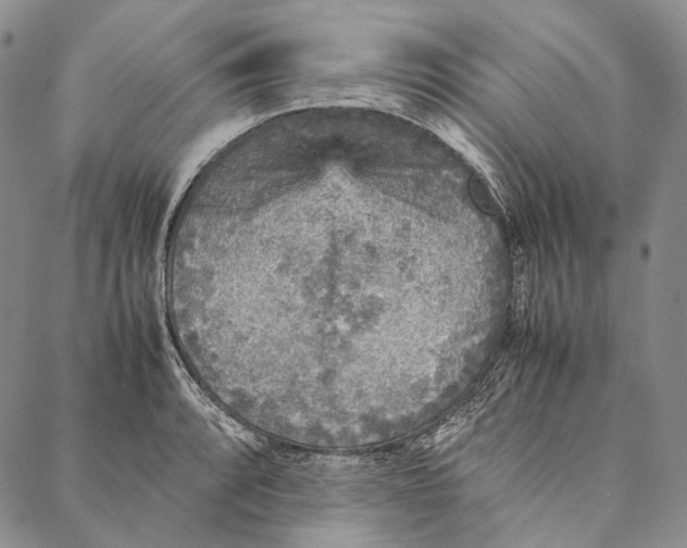 X0000087061088200705091154