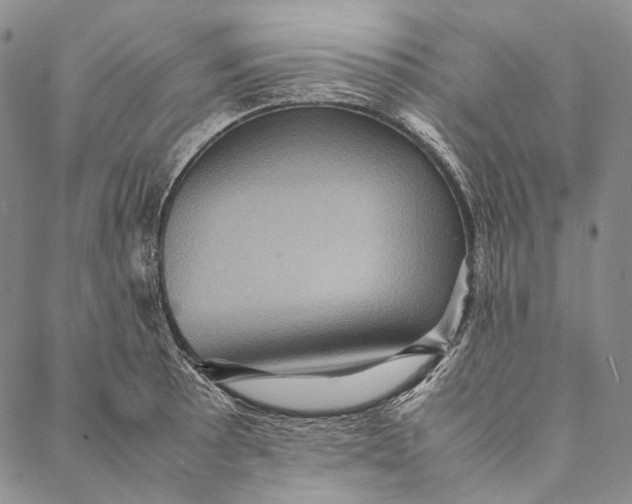 X0000087061089200705091154