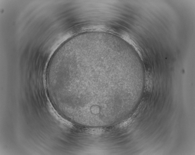 X0000087061090200705091154