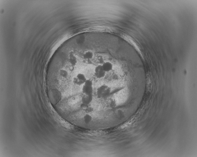 X0000087061091200705091154