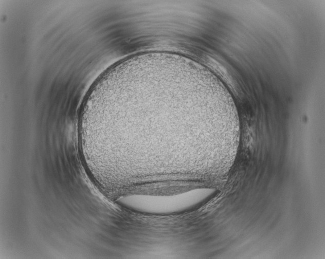 X0000087061092200705091154