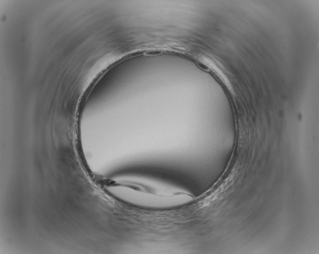 X0000087061093200705091154