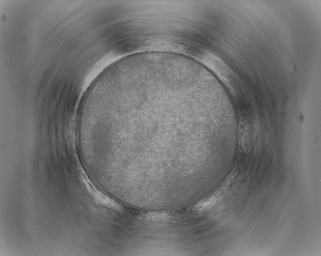 X0000087061094200705091154