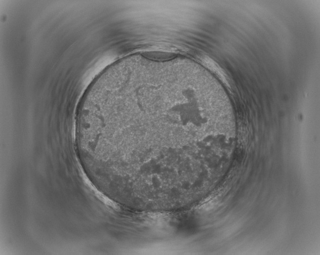 X0000087061095200705091154