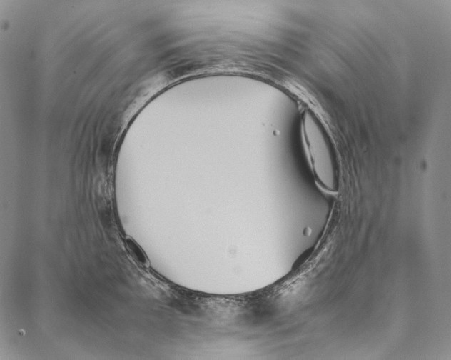 X0000087061097200705091154