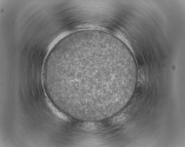 X0000087061098200705091154