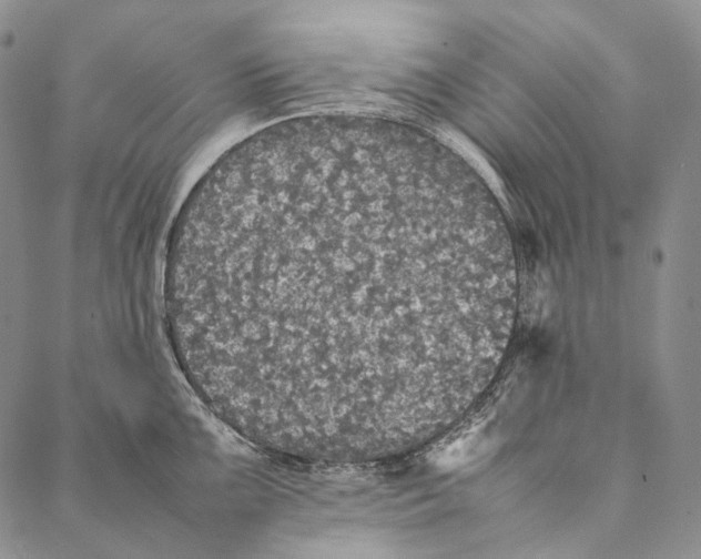 X0000087061099200705091154