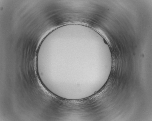 X0000087061100200705091154