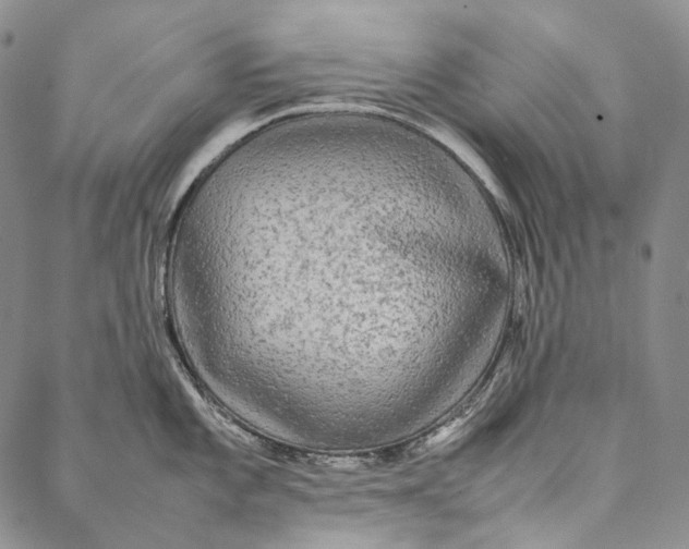 X0000087061101200705091154