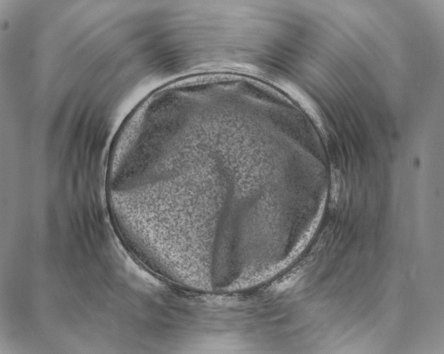 X0000087061102200705091154