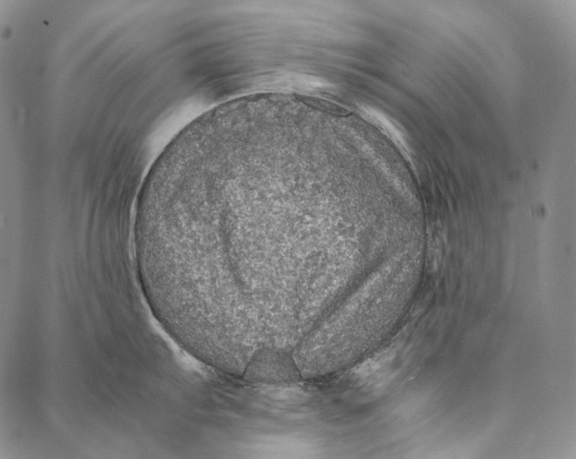 X0000087061103200705091154