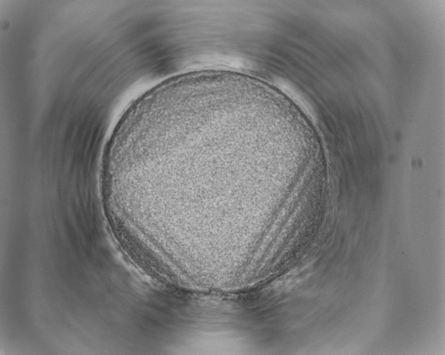 X0000087061104200705091154